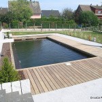 piscine traditionnelle 4 di luca paysagsite