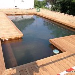 piscine traditionnelle 7 di luca paysagsite