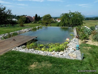 Bassin d’agréement, baignade, poissons